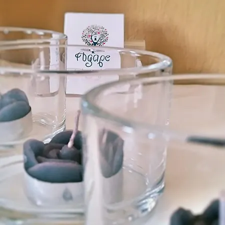 Ferienunterkunft Agape Pelion By Interhome *