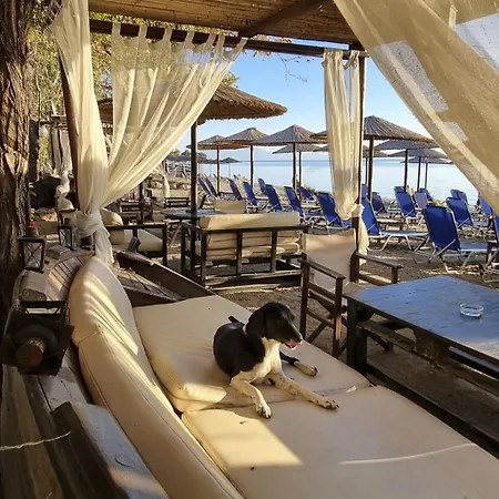 Ferienunterkunft Agape Pelion By Interhome بيت للعطل بلاك كالا