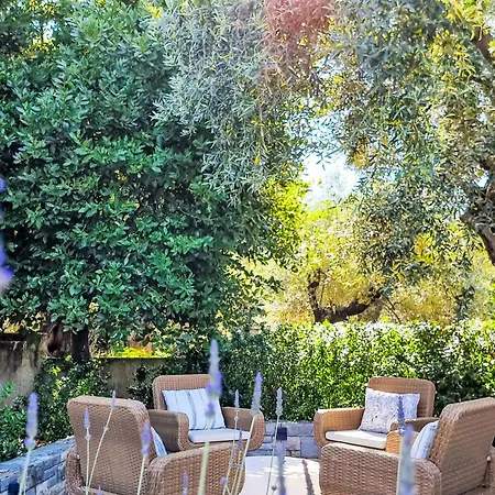 بيت للعطل Ferienunterkunft Agape Pelion By Interhome بلاك كالا