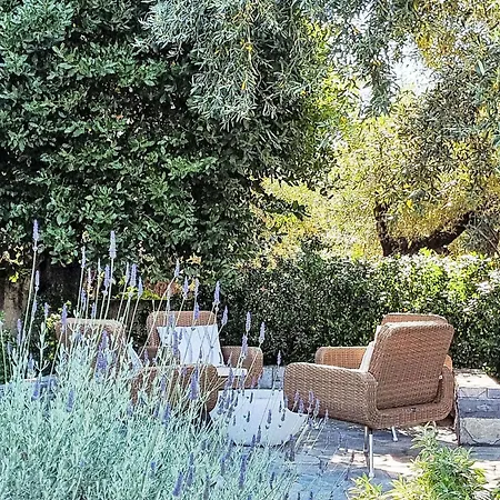 Ferienunterkunft Agape Pelion By Interhome بيت للعطل بلاك كالا