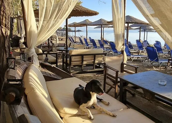 Ferienunterkunft Agape Pelion By Interhome Holiday home Kala Nera